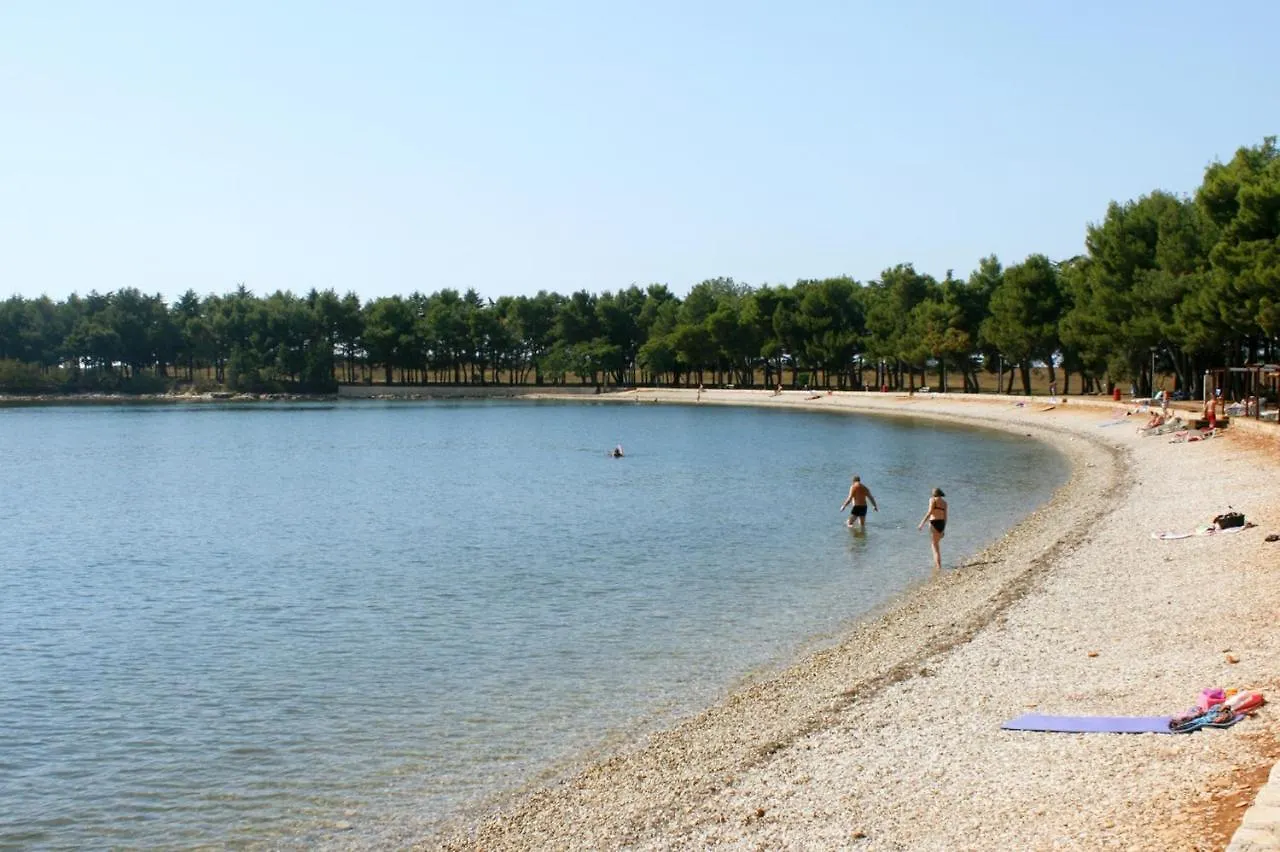 Apartments With A Parking Space Novigrad - 7135